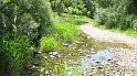 Donauesch_Hausen_243