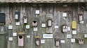 Hausen_Riedlingen_329