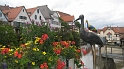 Hausen_Riedlingen_366