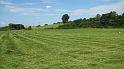 Riedlingen_Ulm_414