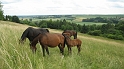 Riedlingen_Ulm_432