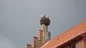 Neuburg_Neustadt_737