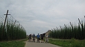 Neustadt_Regensb_802