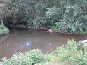 Rad_Main_7_Mainleus_Bayreuth_039