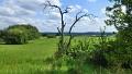 Fernsicht zum Feldberg