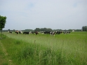 Rad2010_Usedom_294
