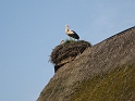 Rad2010_Usedom_347